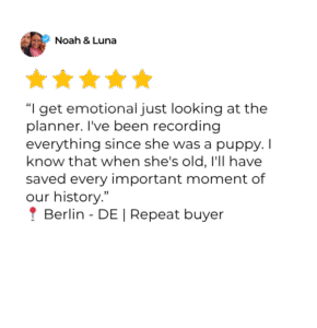 Depoimentos Espanhol x Inglês (2)